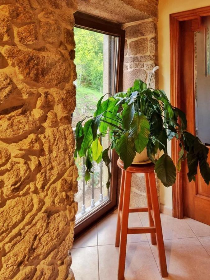 Alojamiento Casa Carlota Villadesuso Экстерьер фото