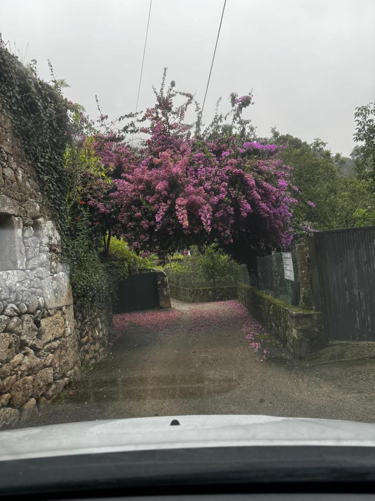 Alojamiento Casa Carlota Villadesuso Экстерьер фото
